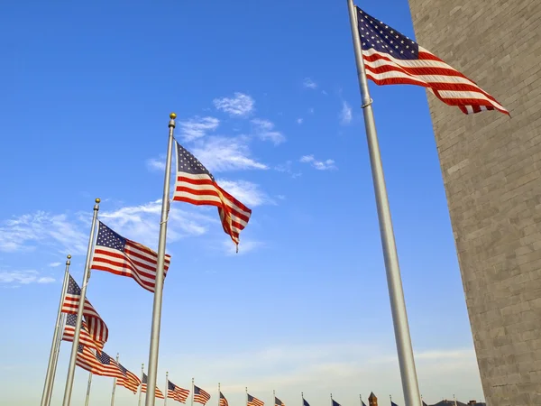 USA flaggor i washington monument — Stockfoto