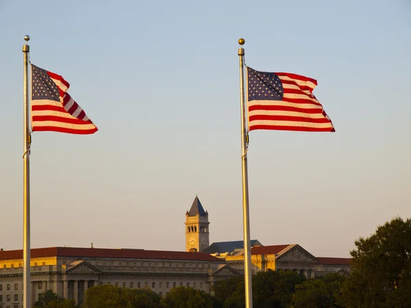 USA flaggor i washington monument — Stockfoto