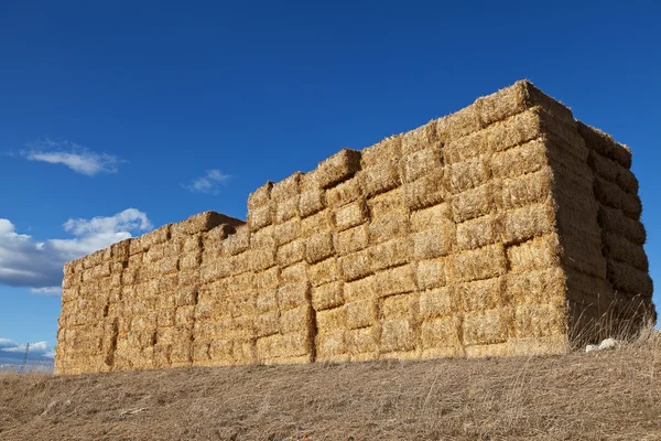 Large pile of hay bales — Stock Photo, Image