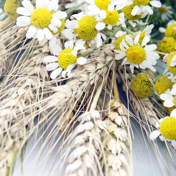 Wheat and marguerite on the old wooden table — Stock Photo, Image
