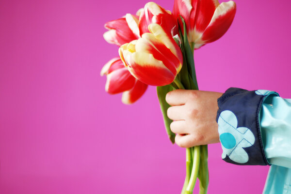 красивый букет тюльпанов