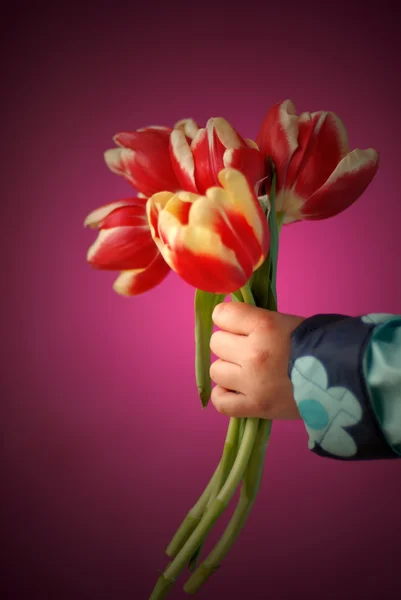 Bellissimo bouquet di tulipani — Foto Stock