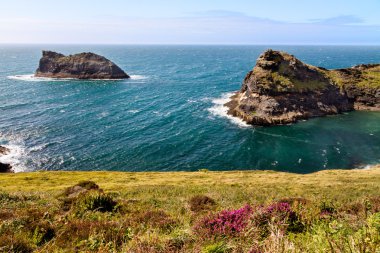 Coastline at Cornish coast near Boscastle, Cornwall, England clipart