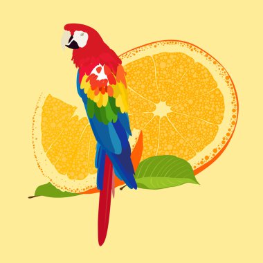 Exotic bird clipart