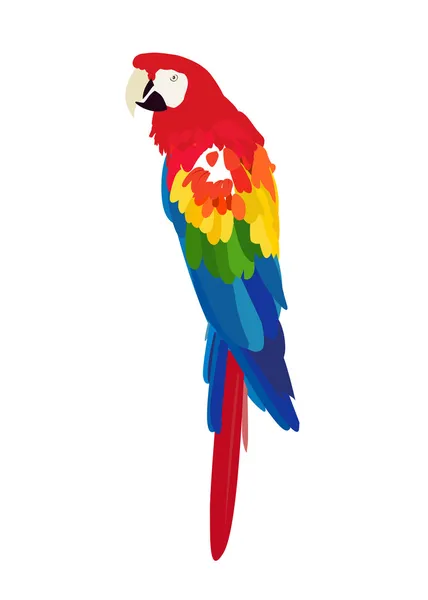 Птах Паро — стоковий вектор