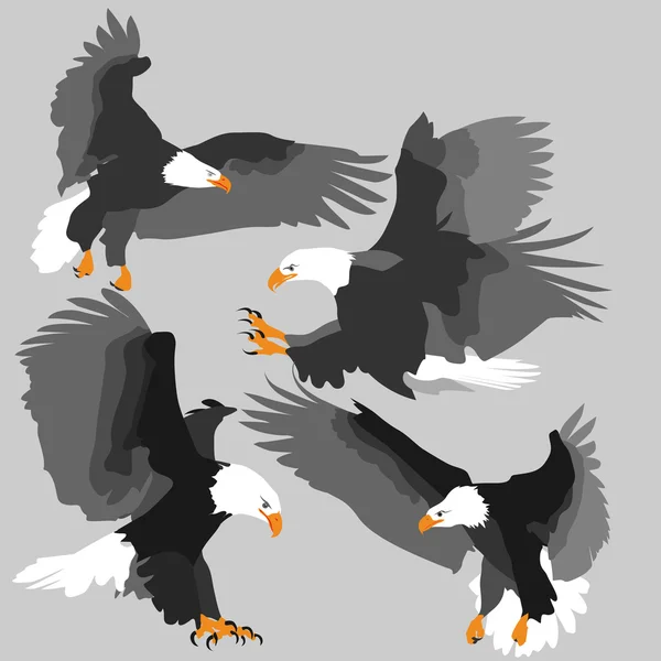 Eagles — Stockvector