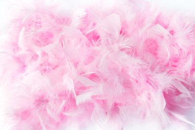 Pink feather boa clipart