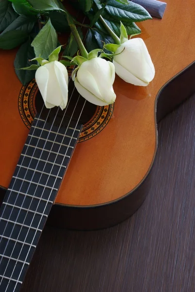Růže na kytaru — Stock fotografie
