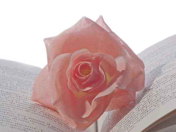Eine Rose auf einem Buch lizenzfreie Stockfotos
