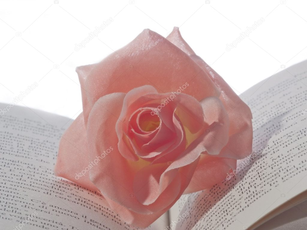 A rose upon a book