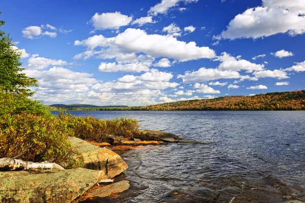 Осенний берег озера — стоковое фото