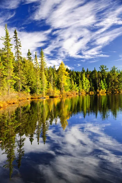 Forest and sky reflecting in lake Stock Photo
