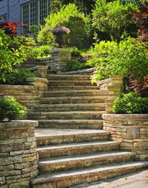 Stone stairs landscaping clipart