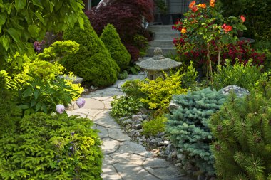 Garden path with stone landscaping clipart
