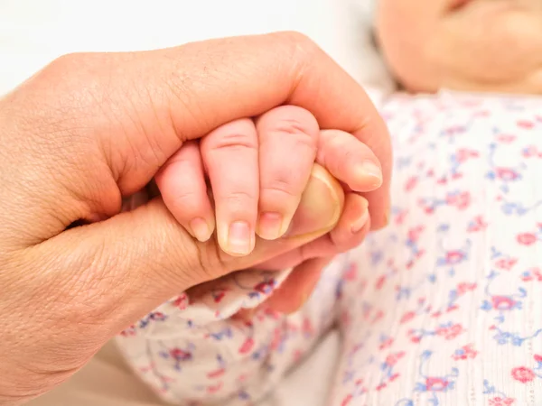 Hålla ett spädbarn handen, liten hand mot big förälder — Stockfoto