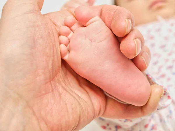Någon med ett spädbarn fot, i det är handen — Stockfoto