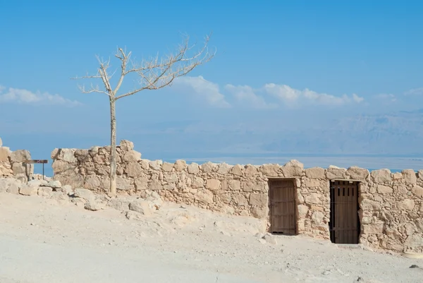 Руины Масады — стоковое фото