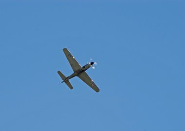 uçuş kısa tucano