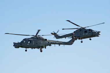 Westland Lynx helicopters in tight formation clipart