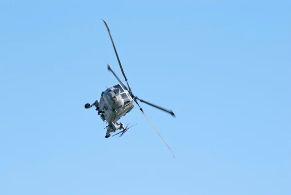 Westland lodjur helikopter — Stockfoto