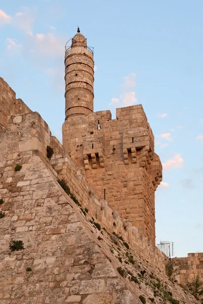 stock image Tower of David