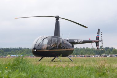 R-44 in the field clipart