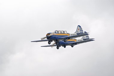 yak-52 uçaklarının uçan oluşumu