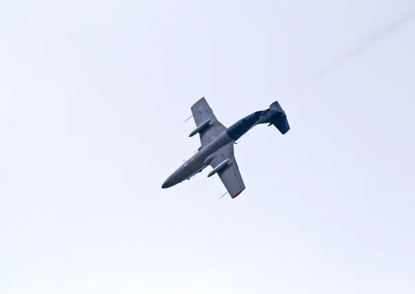 L-29 demonstrates aerobatics — Stock Photo, Image