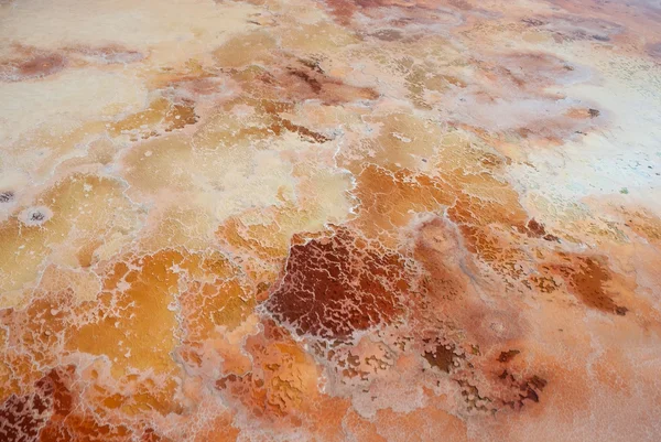 stock image Salt field in Dead sea