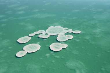 Salt crystals on Dead sea clipart