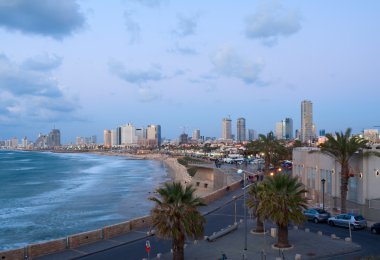 Tel Aviv seaside clipart