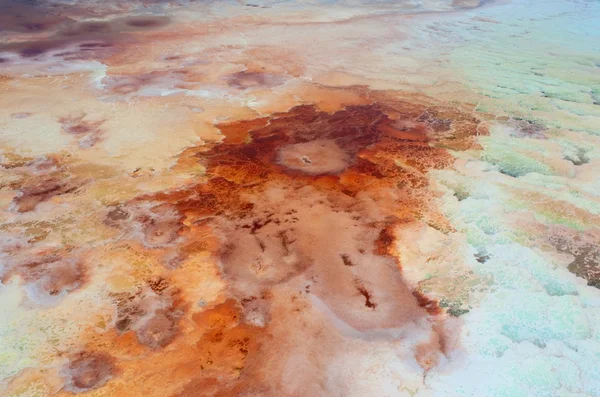 Salt field in Dead sea — Stock Photo, Image