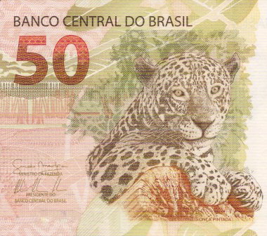 Jaguar (panthera onca) artwork on 50 reais banknote from brazil clipart