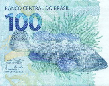Detail of the garoupa (Epinephelus lanceolatus) artwork on 100 reais banknote from brazil clipart