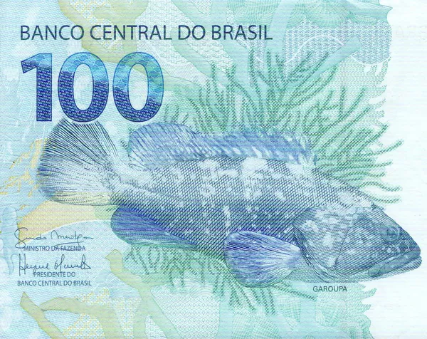 Detail kresby garoupa (Epinephelus lanceolatus) na 100 reais bankovek z Brazílie — Stock fotografie