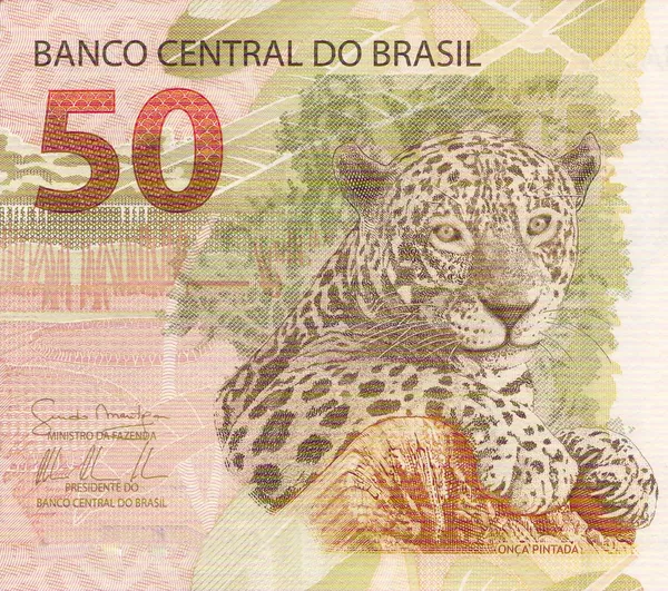 브라질에서 50 reais 은행권에 재규어 (손님 onca) 작품 스톡 이미지