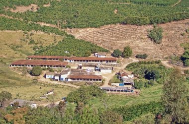 A countryside farm overview