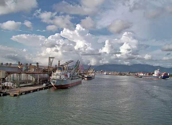 stock image View from the port of the city of santos in brazil
