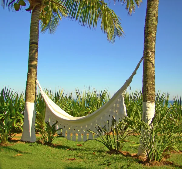 Houpací síť a palm stromy na brazilské pláži dům — Stock fotografie