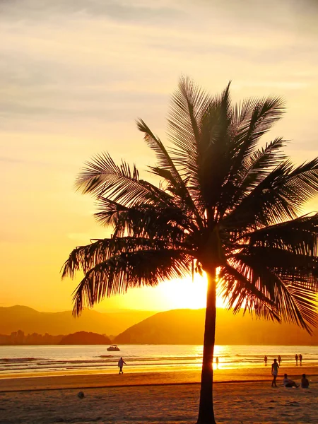 Belo pôr-do-sol dourado na praia da cidade de santos no brasil — Fotografia de Stock