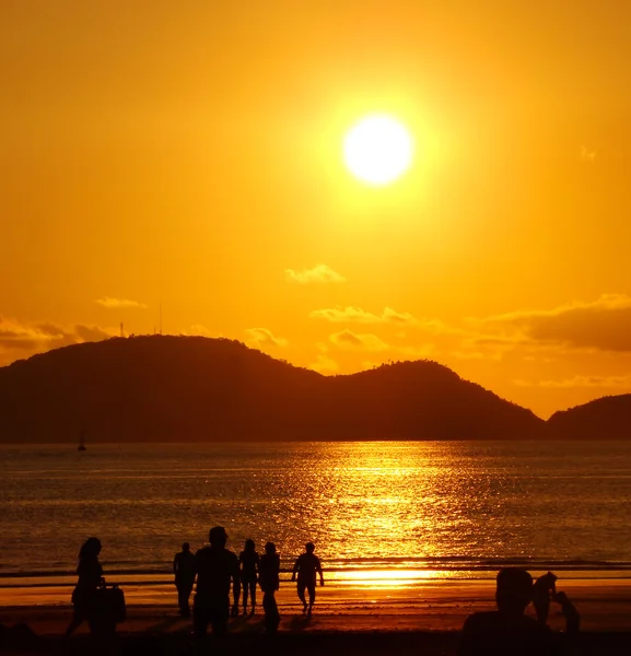Op het strand onder een prachtige gouden zonsondergang — Stockfoto