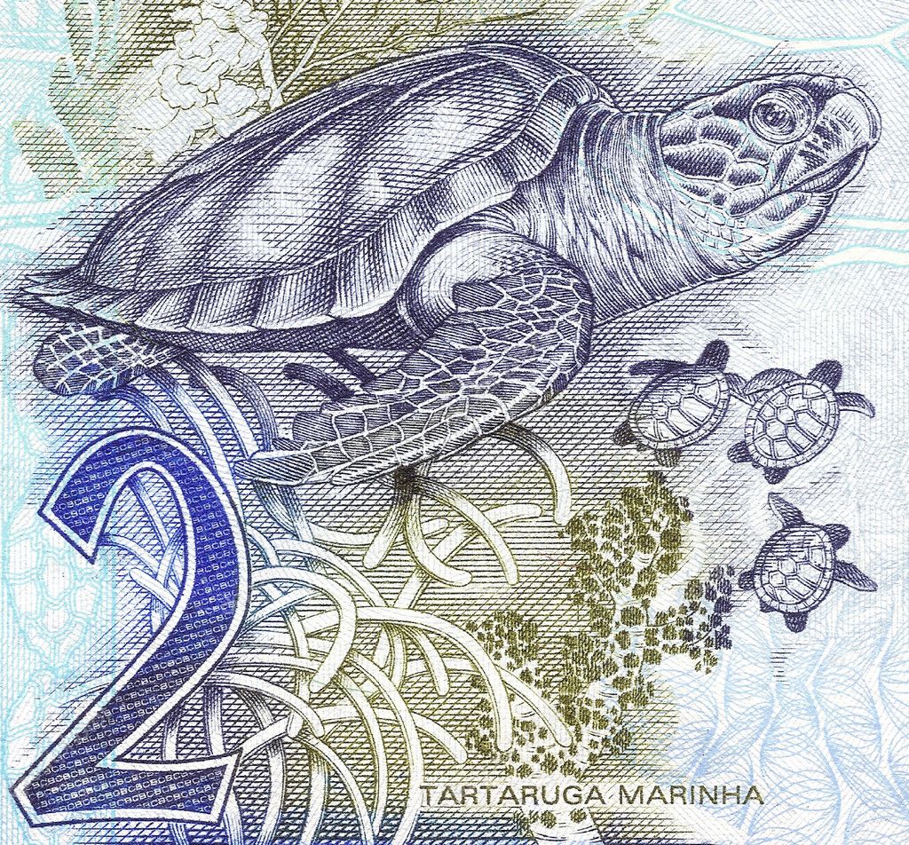 Sea turtle on 2 Real banknote from brazil