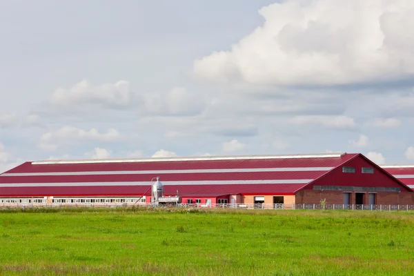 Edificios modernos granja de ganado — Foto de Stock