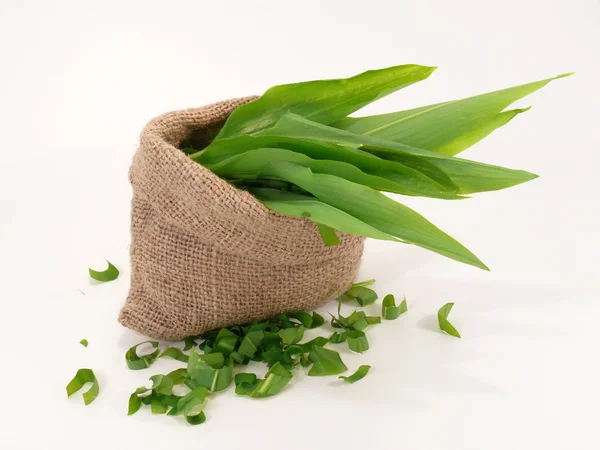 Wild Garlic in the bag — Stock Photo, Image