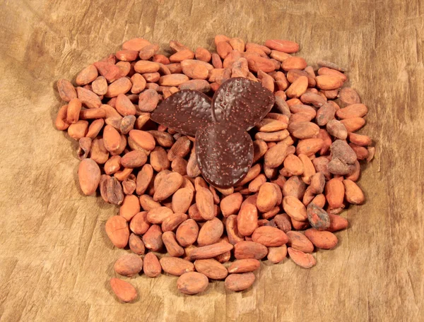 Kakao çekirdekleri — Stok fotoğraf