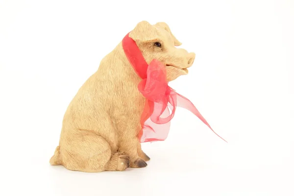 Lucky Pig — Stock Photo, Image