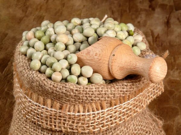 Peas seeds — Stock Photo, Image