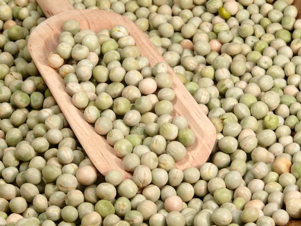 Peas seeds — Stock Photo, Image
