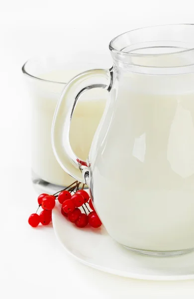 Mælk i en kop - Stock-foto