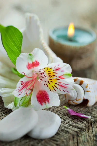 Aromatherapy.Spa — Stockfoto